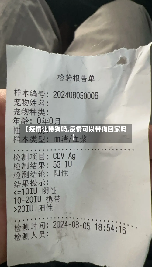 【疫情让带狗吗,疫情可以带狗回家吗】