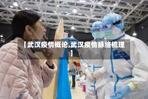 【武汉疫情概论,武汉疫情脉络梳理】-第2张图片