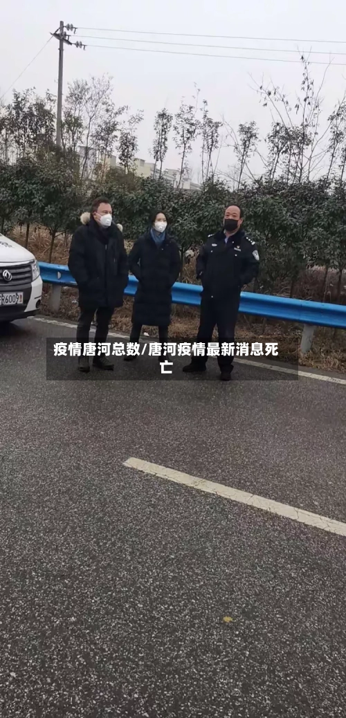 疫情唐河总数/唐河疫情最新消息死亡