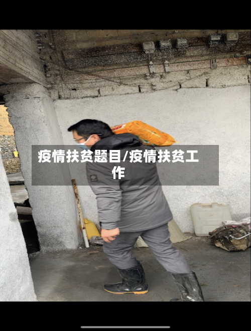 疫情扶贫题目/疫情扶贫工作-第2张图片
