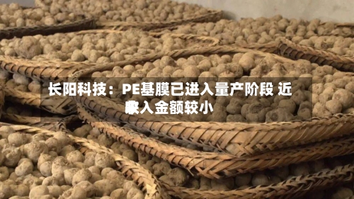 长阳科技：PE基膜已进入量产阶段 近来收入金额较小-第2张图片