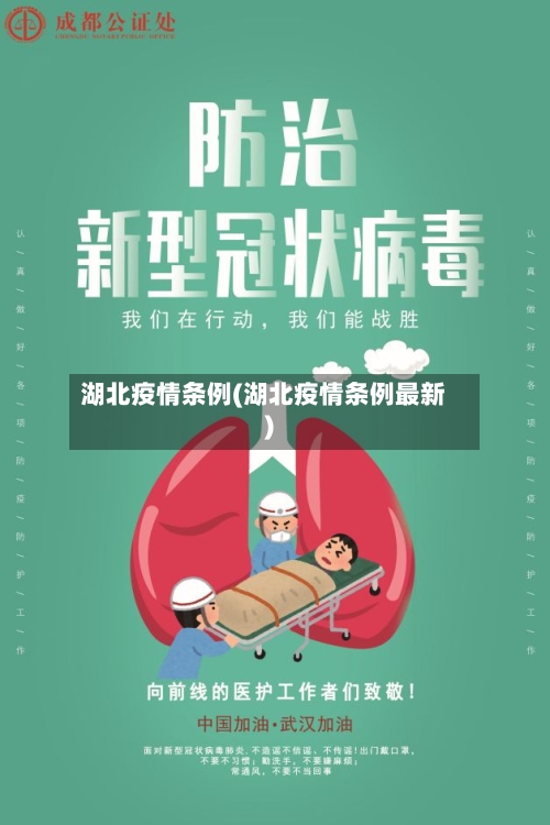 湖北疫情条例(湖北疫情条例最新)-第2张图片