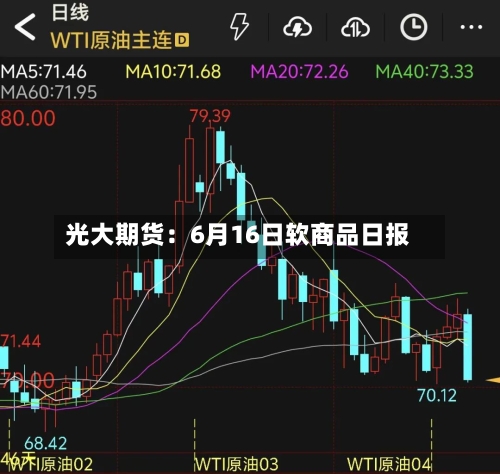 光大期货：6月16日软商品日报