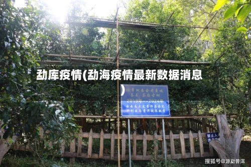 勐库疫情(勐海疫情最新数据消息)-第2张图片