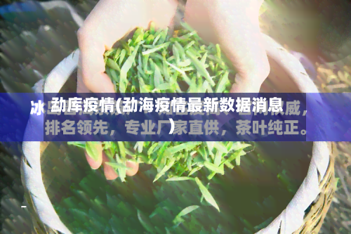 勐库疫情(勐海疫情最新数据消息)