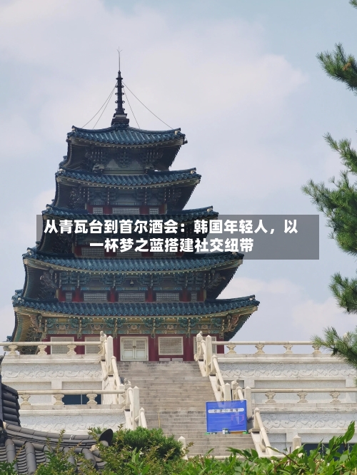 从青瓦台到首尔酒会：韩国年轻人，以一杯梦之蓝搭建社交纽带