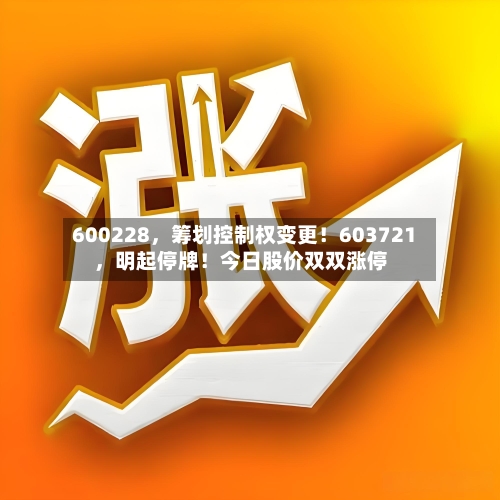 600228，筹划控制权变更！603721，明起停牌！今日股价双双涨停-第2张图片