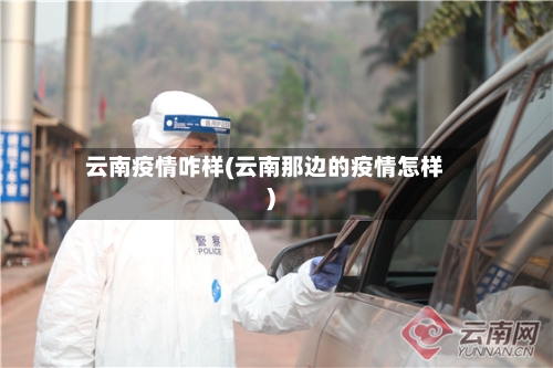 云南疫情咋样(云南那边的疫情怎样)-第3张图片