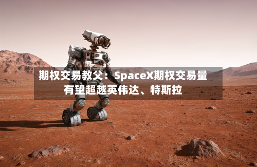 期权交易教父：SpaceX期权交易量有望超越英伟达、特斯拉