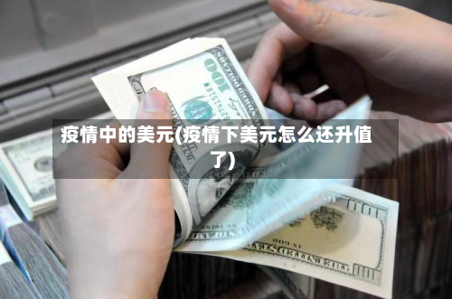疫情中的美元(疫情下美元怎么还升值了)-第3张图片