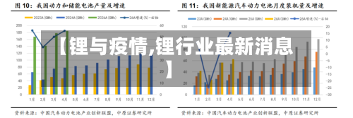 【锂与疫情,锂行业最新消息】-第2张图片