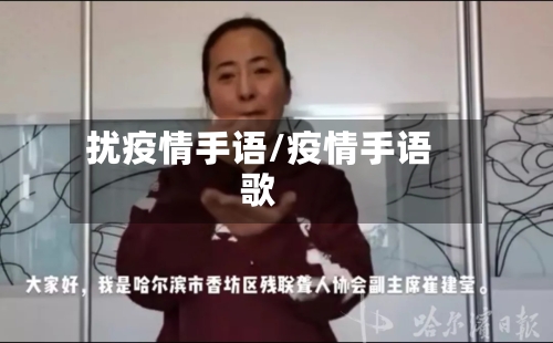 扰疫情手语/疫情手语歌
