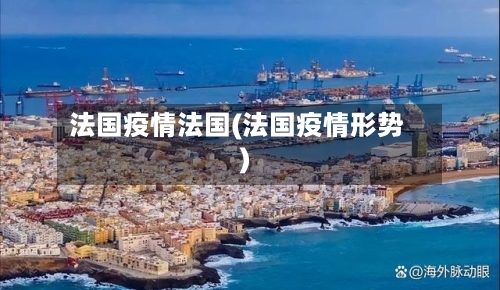 法国疫情法国(法国疫情形势)-第2张图片