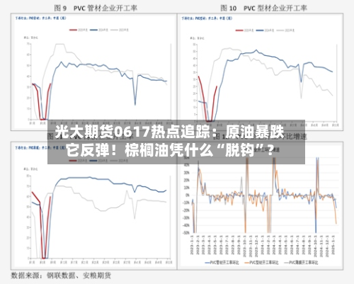 光大期货0617热点追踪：原油暴跌它反弹！棕榈油凭什么“脱钩”？-第2张图片