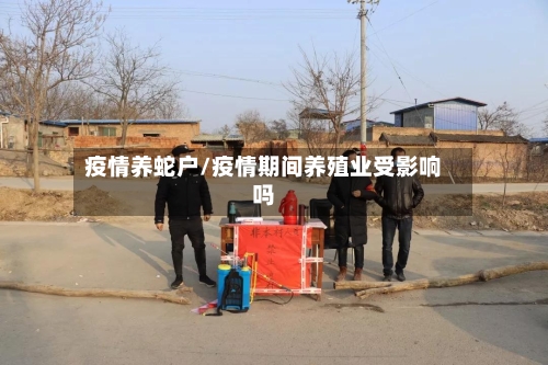 疫情养蛇户/疫情期间养殖业受影响吗