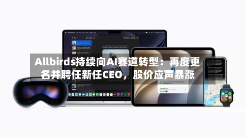 Allbirds持续向AI赛道转型：再度更名并聘任新任CEO，股价应声暴涨-第2张图片