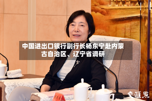 中国进出口银行副行长杨东宁赴内蒙古自治区、辽宁省调研-第3张图片