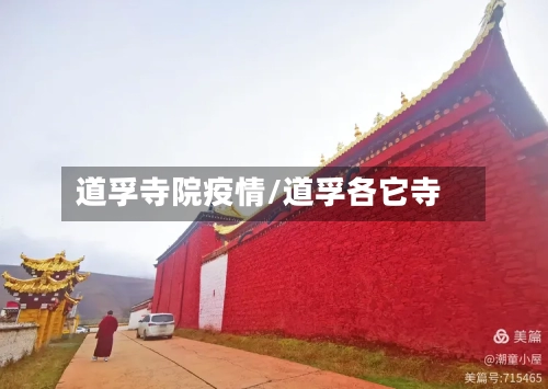 道孚寺院疫情/道孚各它寺-第2张图片