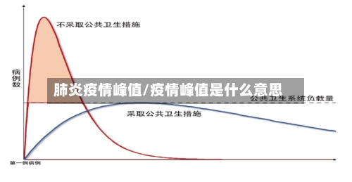 肺炎疫情峰值/疫情峰值是什么意思-第3张图片