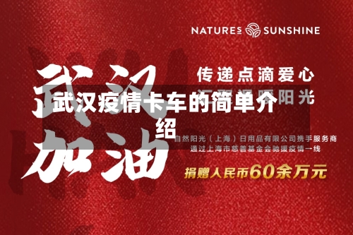 武汉疫情卡车的简单介绍-第2张图片