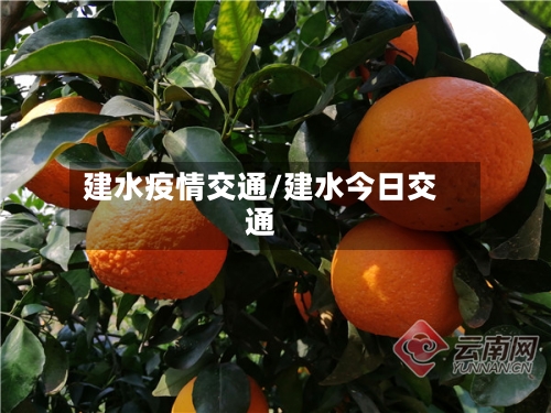 建水疫情交通/建水今日交通-第2张图片
