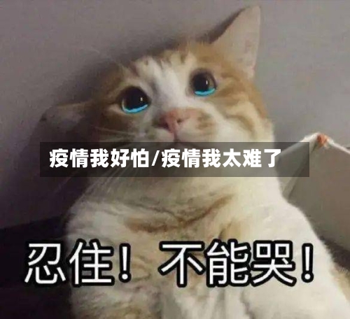 疫情我好怕/疫情我太难了