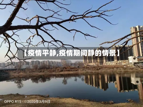 【疫情平静,疫情期间静的情景】-第3张图片