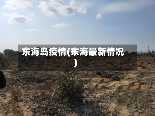 东海岛疫情(东海最新情况)-第2张图片