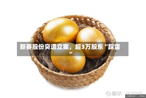 新赛股份突遭立案，超3万股东“踩雷”-第2张图片
