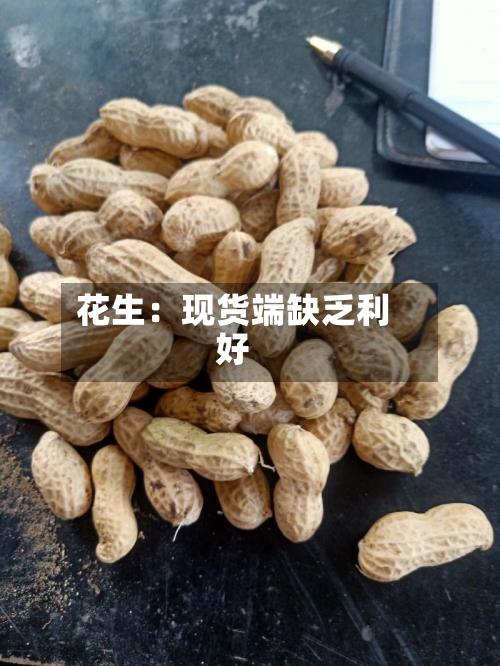 花生：现货端缺乏利好
