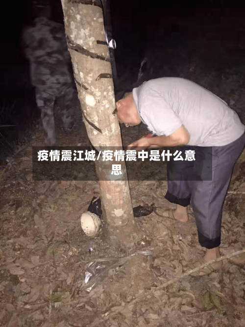 疫情震江城/疫情震中是什么意思