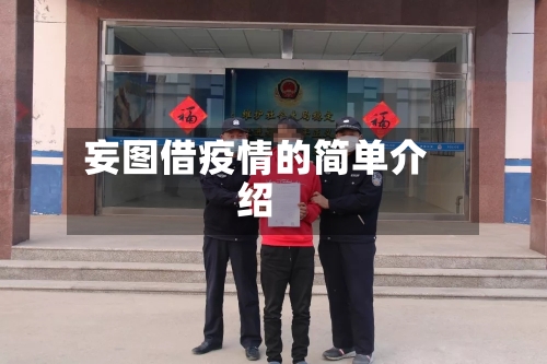 妄图借疫情的简单介绍-第2张图片