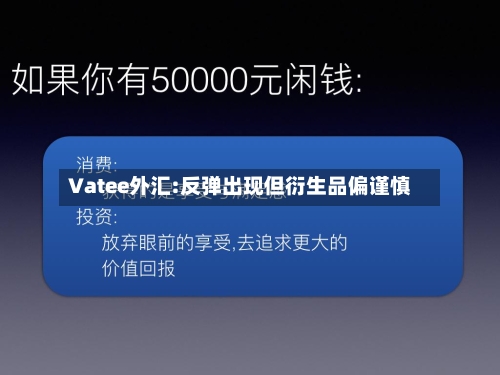 Vatee外汇:反弹出现但衍生品偏谨慎