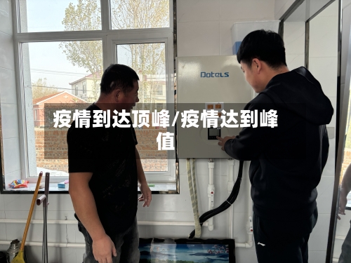 疫情到达顶峰/疫情达到峰值-第2张图片