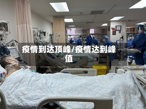 疫情到达顶峰/疫情达到峰值-第3张图片