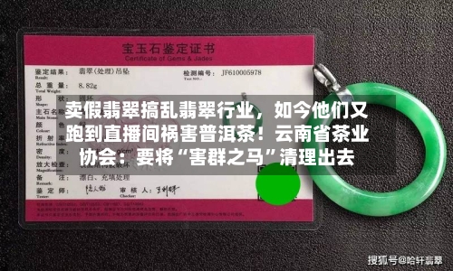 卖假翡翠搞乱翡翠行业，如今他们又跑到直播间祸害普洱茶！云南省茶业协会：要将“害群之马”清理出去