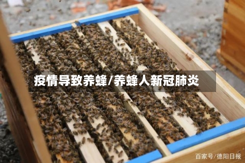 疫情导致养蜂/养蜂人新冠肺炎-第3张图片