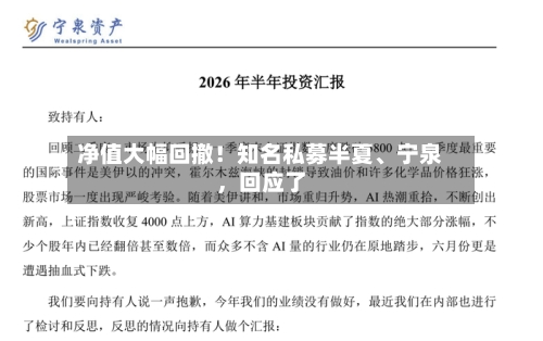 净值大幅回撤！知名私募半夏、宁泉，回应了-第3张图片