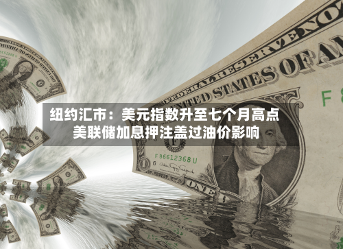 纽约汇市：美元指数升至七个月高点 美联储加息押注盖过油价影响