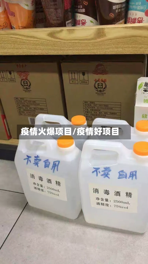 疫情火爆项目/疫情好项目