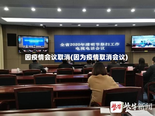因疫情会议取消(因为疫情取消会议)-第2张图片