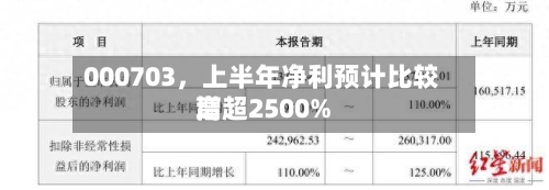 000703，上半年净利预计比较高增超2500%-第3张图片