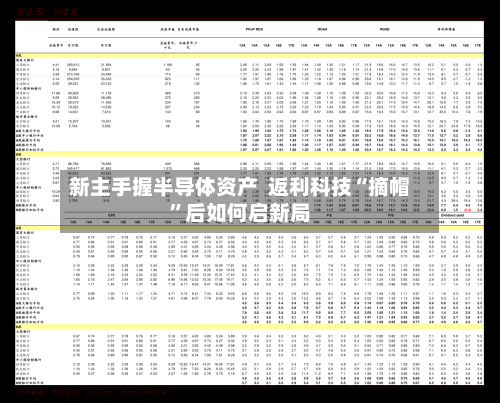 新主手握半导体资产  返利科技“摘帽”后如何启新局-第3张图片