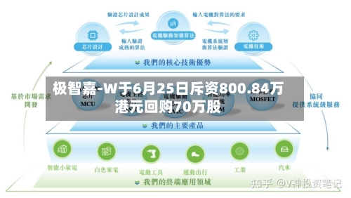 极智嘉-W于6月25日斥资800.84万港元回购70万股-第2张图片