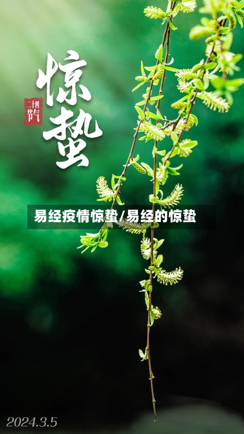 易经疫情惊蛰/易经的惊蛰-第2张图片