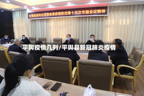 平舆疫情几列/平舆县新冠肺炎疫情-第2张图片
