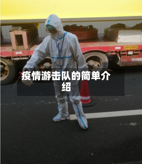 疫情游击队的简单介绍