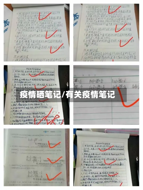 疫情晒笔记/有关疫情笔记-第2张图片