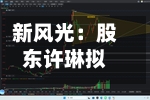 新风光：股东许琳拟减持不超0.534%公司股份-第2张图片