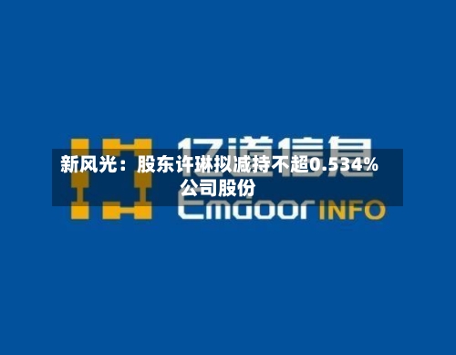 新风光：股东许琳拟减持不超0.534%公司股份